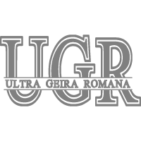 Logotipo_CT_geira_cinza-02-01